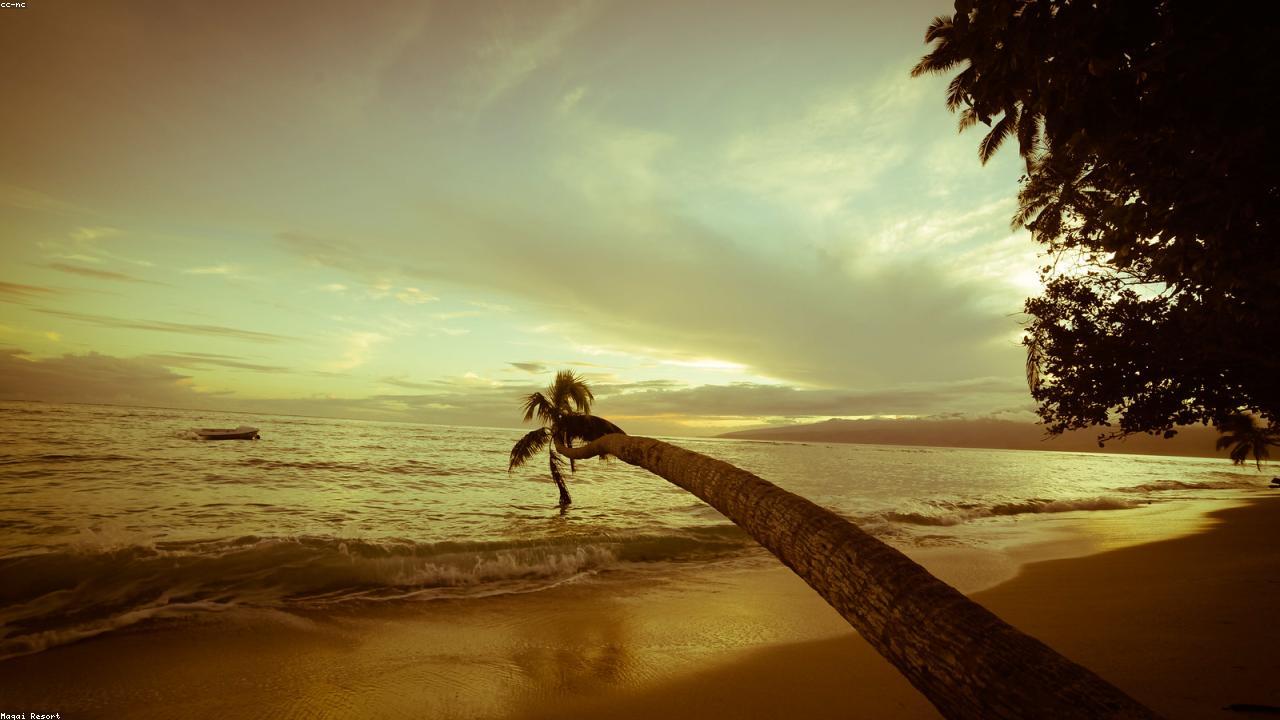 Palm trees lean over white sand on a Fijian island beach.