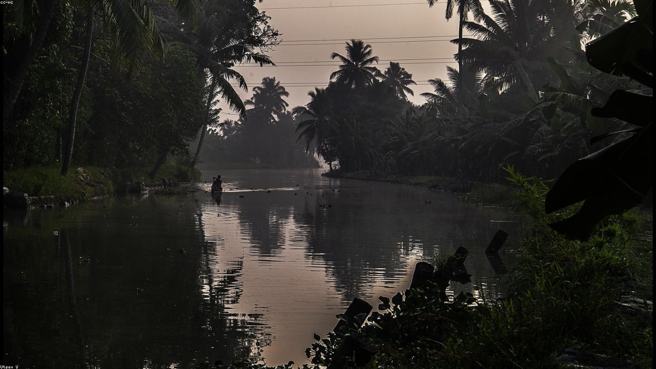 A houseboat glides through Kerala's palm-fringed backwaters.