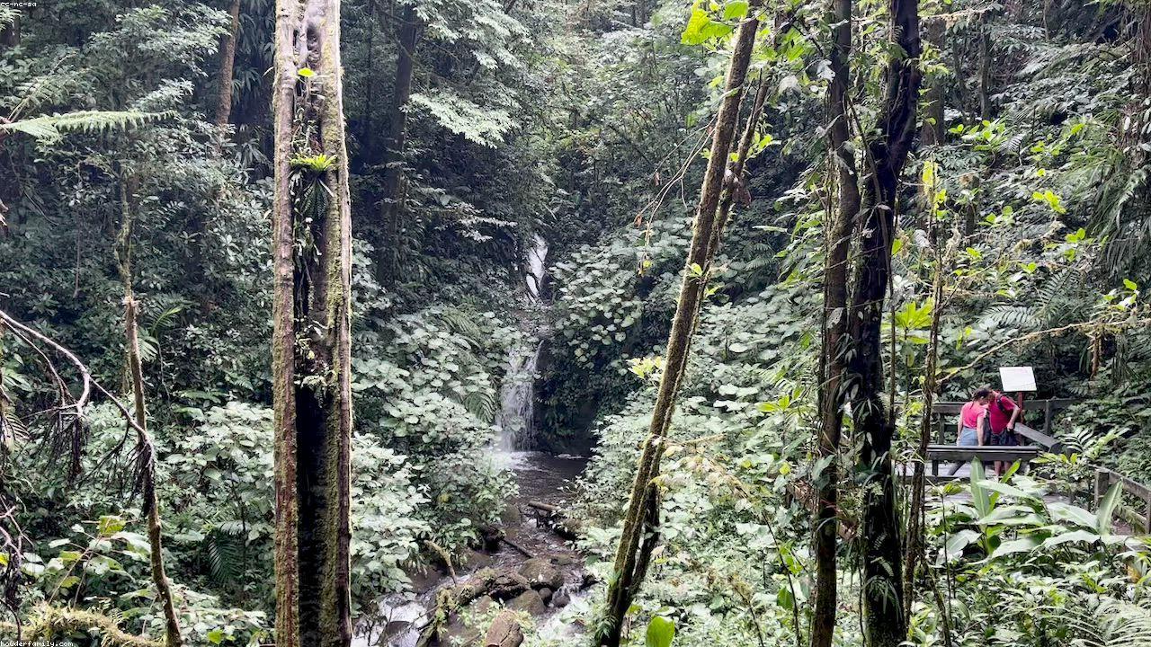 Mist clings to moss-draped trees in the Monteverde cloud forest.